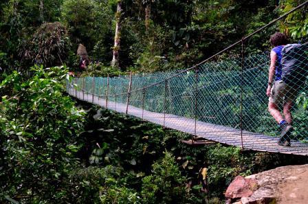 Pont suspendu, Ciudad Perdida
